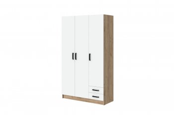 Шкаф 1200 мм Эконом без зеркала (Зарон) в Серове - serov.mebel-e96.ru