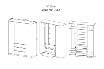 Шкаф распашной Мори 1600 мм графит (ДСВ) в Серове - serov.mebel-e96.ru