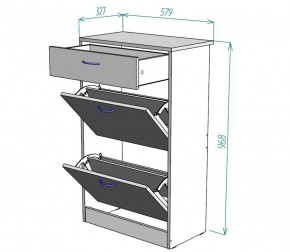 Обувница W21 (ЯШС) в Серове - serov.mebel-e96.ru