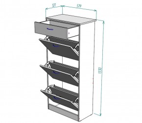 Обувница W23 (ДСС-Белый) в Серове - serov.mebel-e96.ru