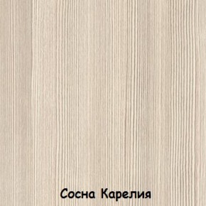 Шкаф 900 мм 2-х створчатый ДМ-02 Серия 2 (СВ) в Серове - serov.mebel-e96.ru