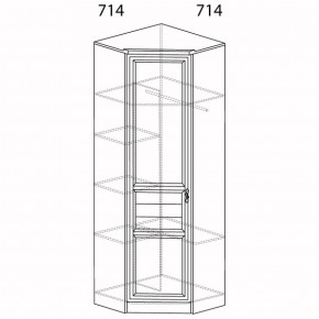 Шкаф для одежды угловой Лира 57 (Яна) в Серове - serov.mebel-e96.ru