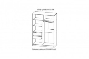 Шкаф-купе ВИКТОРИ-13 Анкор темный в Серове - serov.mebel-e96.ru