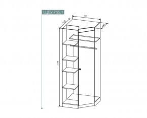 Шкаф угловой Сканди , ШДУ765.1 (ДСВ) в Серове - serov.mebel-e96.ru