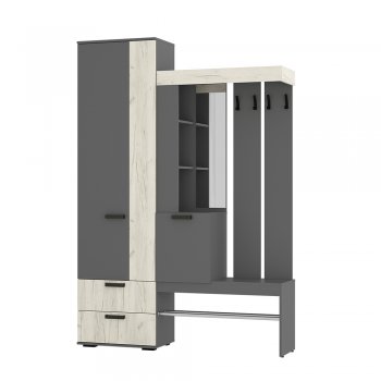 Прихожая Трамп графит/крафт белый (БТС) в Серове - serov.mebel-e96.ru