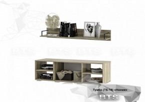 Тумба ТВ ТБ-16 Наоми (БТС) в Серове - serov.mebel-e96.ru