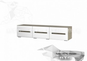 Тумба ТВ ТБ-17 Наоми (БТС) в Серове - serov.mebel-e96.ru | фото